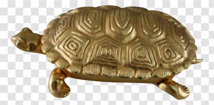 Box Turtles Tortoise 01504 Terrestrial Animal - Brass - Turtle Transparent PNG