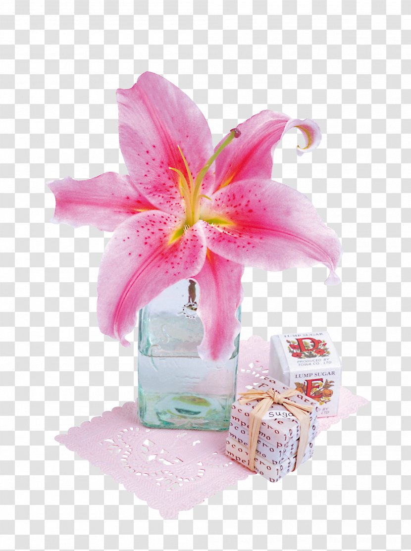 Floral Design Flower Petal - Bouquet - Pink Transparent PNG