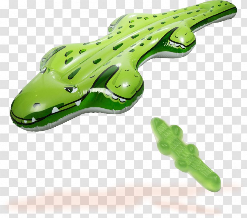 Frog Reptile - Amphibian Transparent PNG