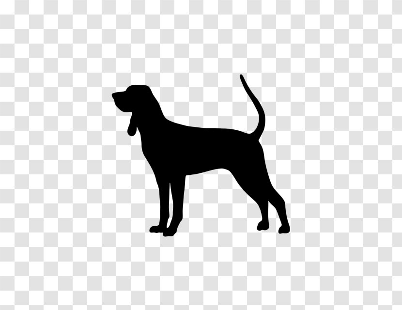 Bluetick Coonhound Black And Tan Treeing Walker American English Bloodhound - Silhouette - Raccoon Transparent PNG