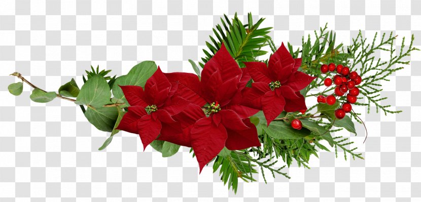 Christmas Desktop Wallpaper Flower Clip Art - December - Photoshop Transparent PNG