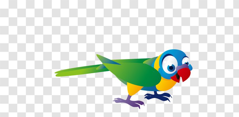 Parrot Bird - Monk Parakeet - Birds Transparent PNG