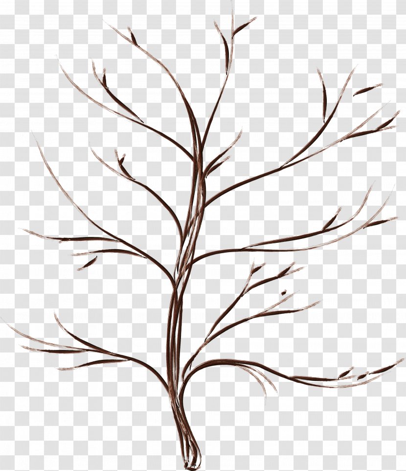 Cartoon Drawing - Vecteur - Hand-drawn Tree Transparent PNG