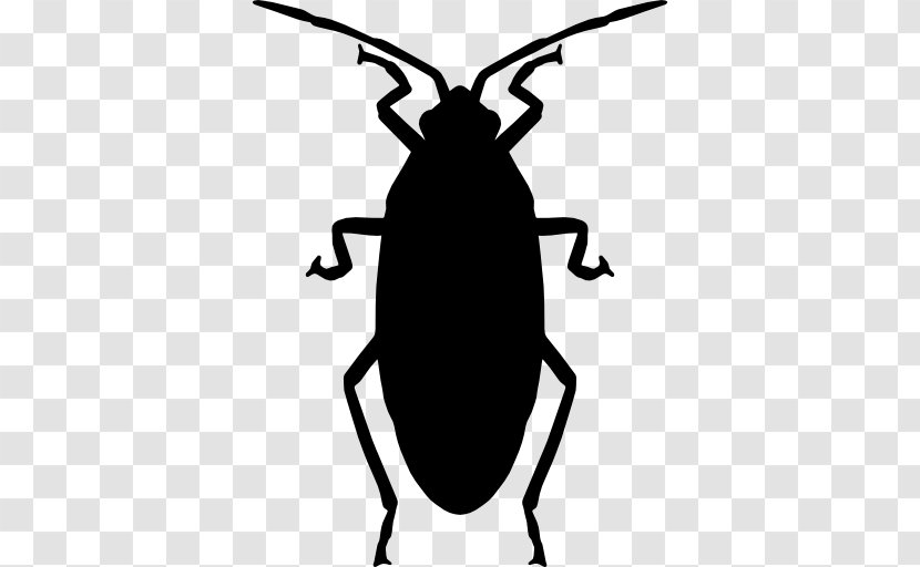 Oriental Cockroach Insect Clip Art - Fly Transparent PNG
