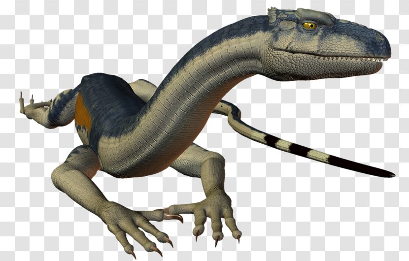 Lizard Velociraptor Animal Dinosaur Amphibian - Reptile Transparent PNG