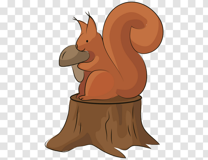 Squirrel Cartoon Eurasian Red Squirrel Drawing Animation Transparent PNG