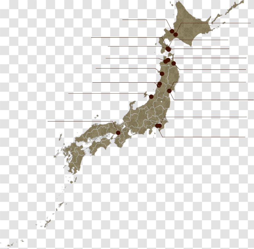 Japan Vector Map Royalty-free - Contour Line Transparent PNG