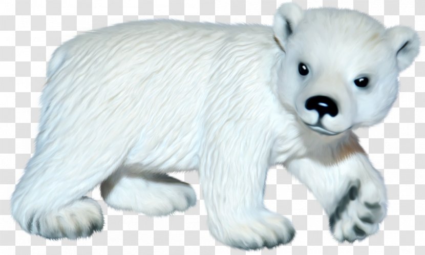 International Polar Bear Day Arctic Fox - Watercolor - White Transparent PNG