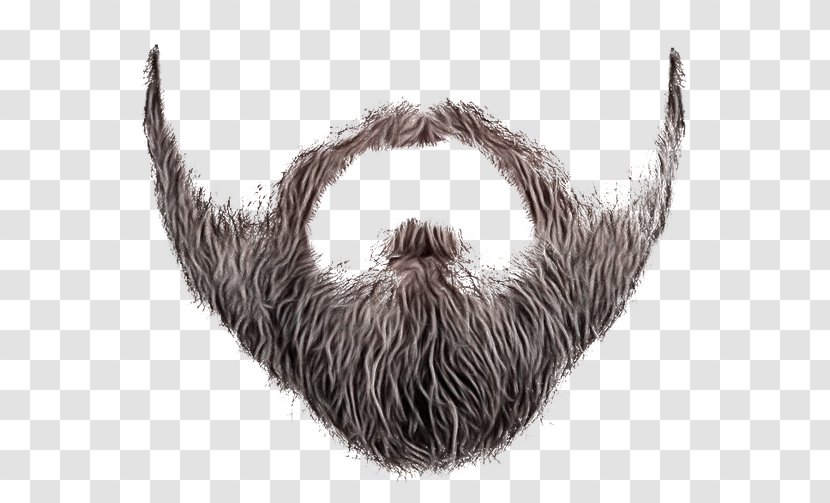 Hair Cartoon - Handlebar Moustache - Drawing Horn Transparent PNG
