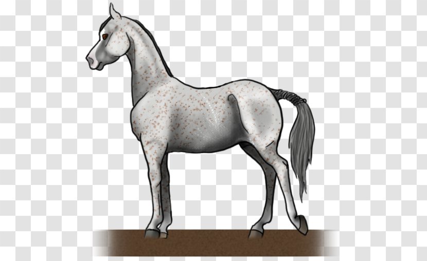 Mane Mustang Mare Foal Stallion - Bit Transparent PNG