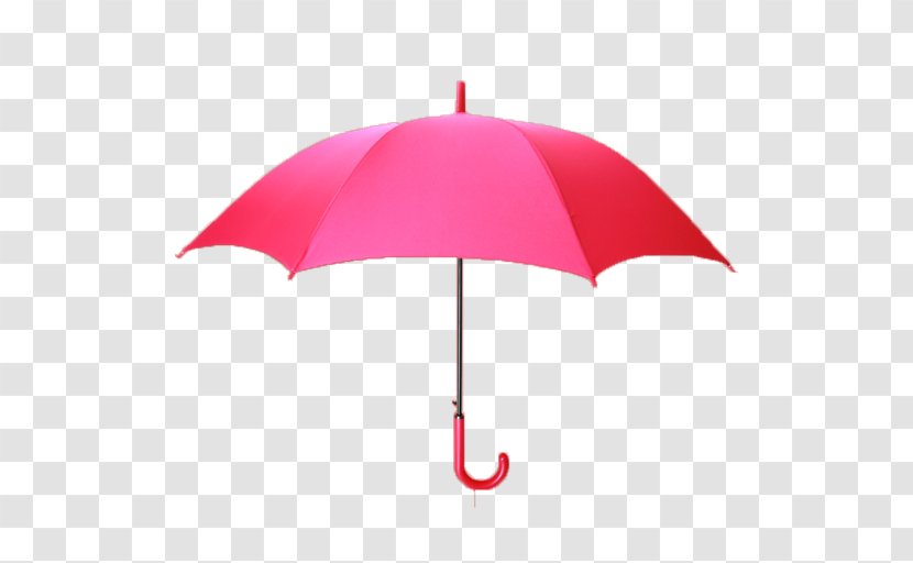 Umbrella Cartoon - Clothing Accessories - Plant Magenta Transparent PNG