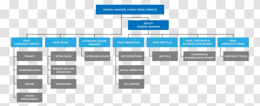 Organizational Chart Hierarchical Organization Diagram Business - Rectangle Transparent PNG