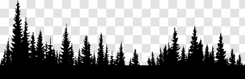 Forest Clip Art - Sky Transparent PNG