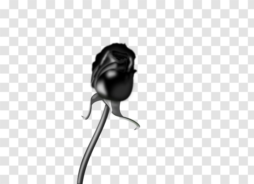 Black Rose Clip Art - Monochrome - Rosa Parks Clipart Transparent PNG