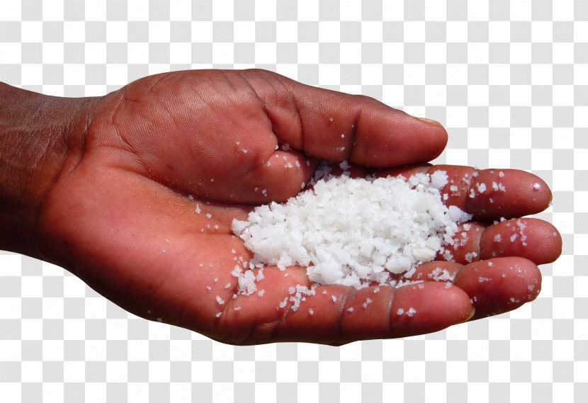 Salt Health - English Transparent PNG