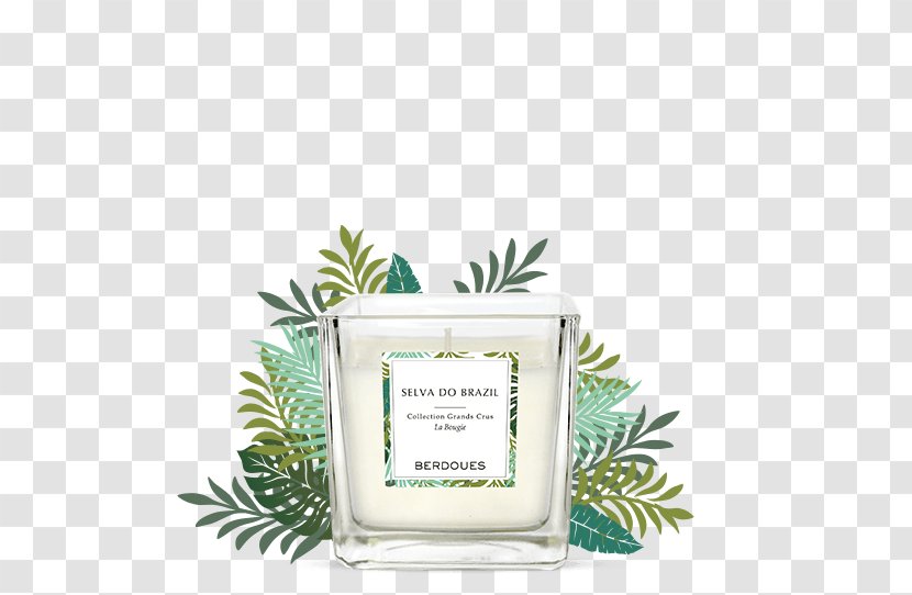 Berdoues Perfume Amazon Rainforest - Selva Transparent PNG