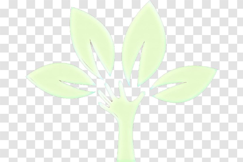 Green Leaf Plant Flower Petal Transparent PNG