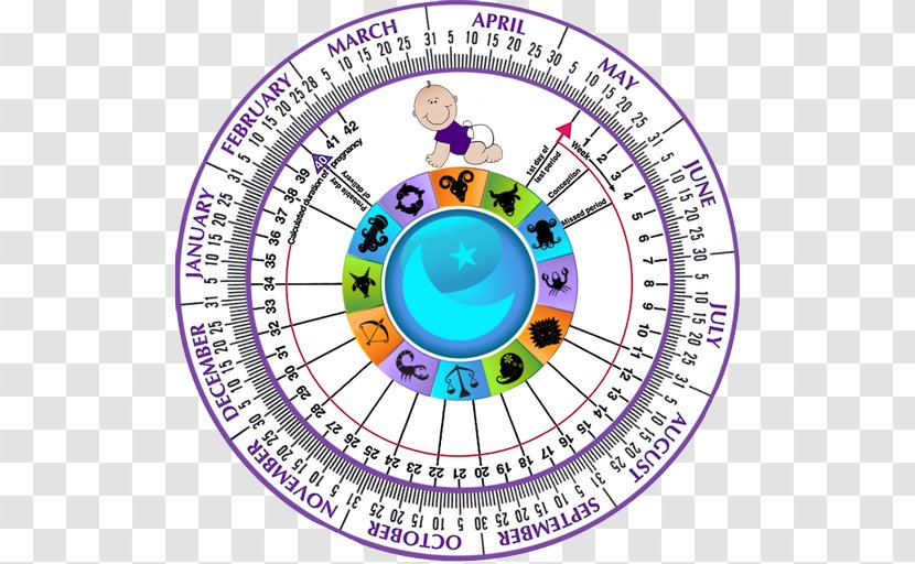 Estimated Date Of Confinement Pregnancy Calendar Calculator Childbirth - Area - A Pool Blood Transparent PNG