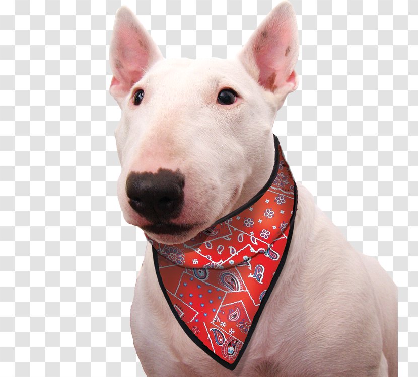 Dog Kerchief Scarf Pet Clothing - Headgear Transparent PNG
