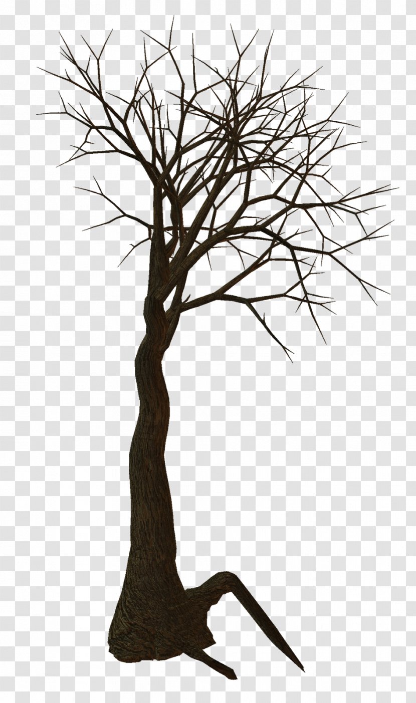 Tree Woody Plant Clip Art - Root Transparent PNG