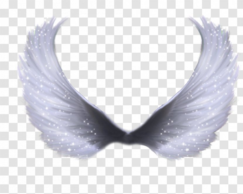 Wing Clip Art - Angel - Wings Transparent PNG