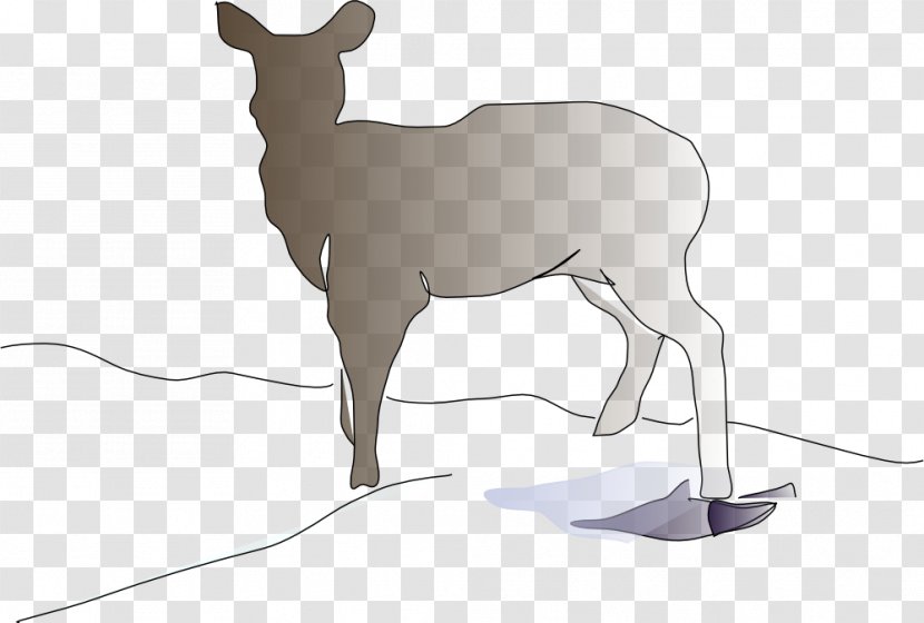 Download Clip Art - Joint - Deer Clipart Transparent PNG