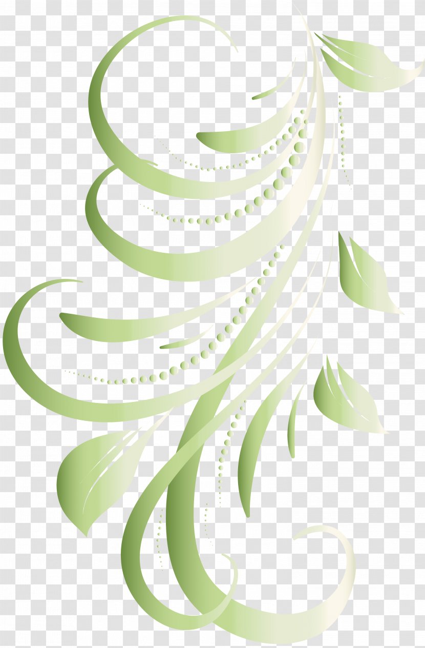 Flower Plant Stem - Green - Elements Transparent PNG