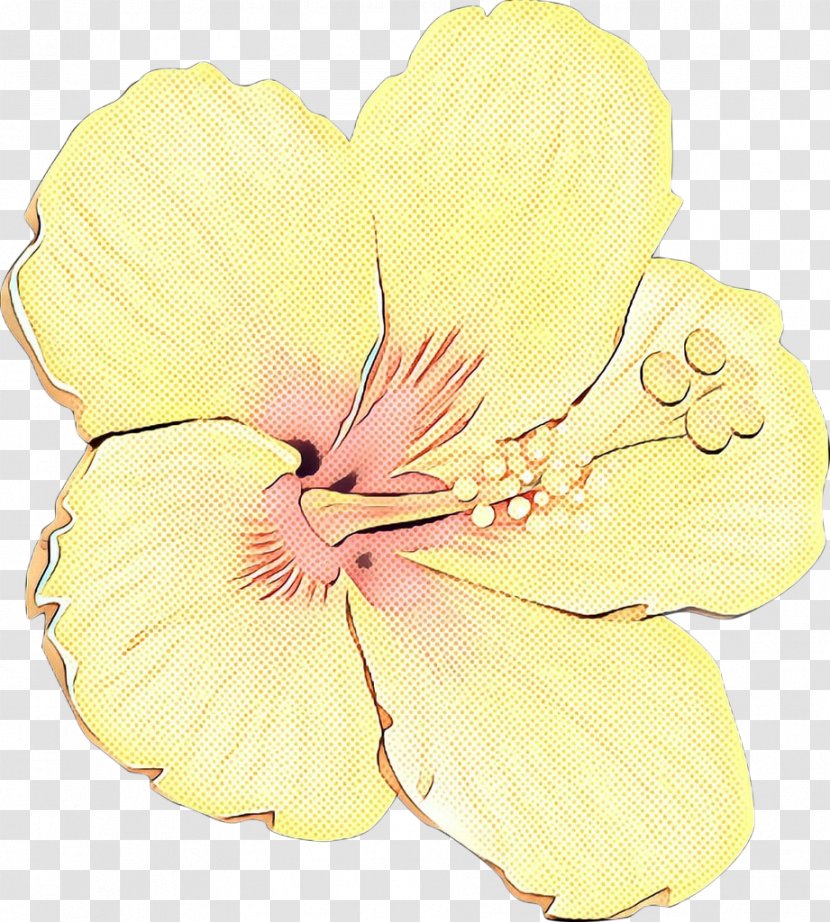 Rosemallows Cut Flowers Moth Orchids Petal - Evening Primrose - Hibiscus Transparent PNG
