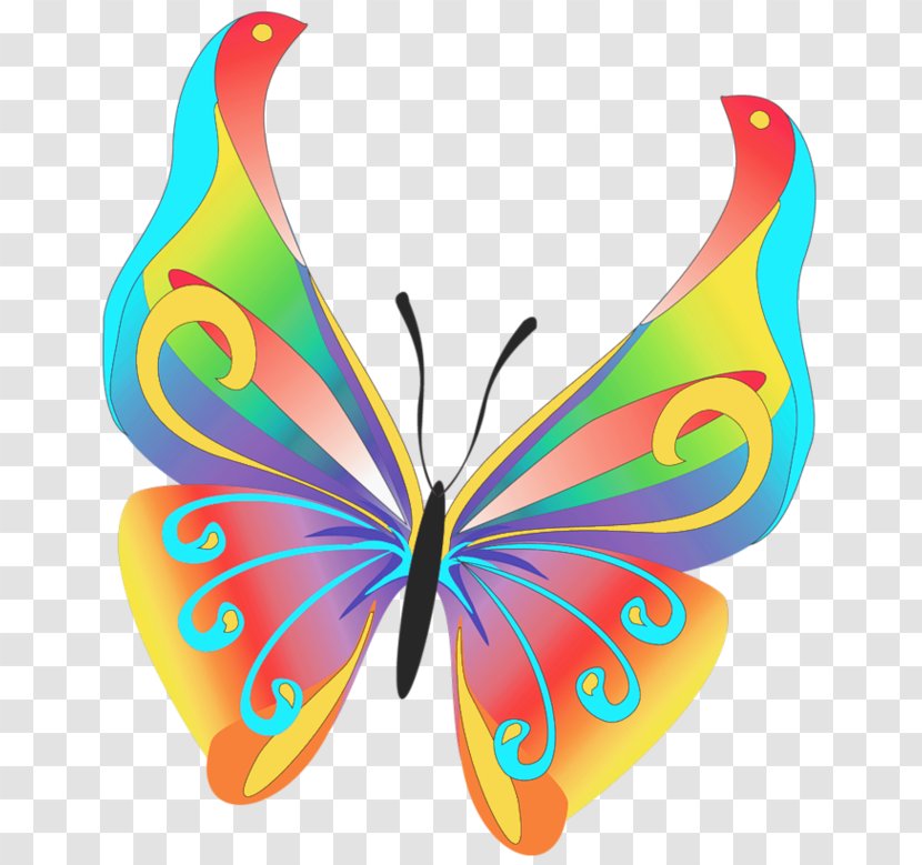 Butterfly Clip Art - Drawing - Wallpapers Cliparts Transparent PNG