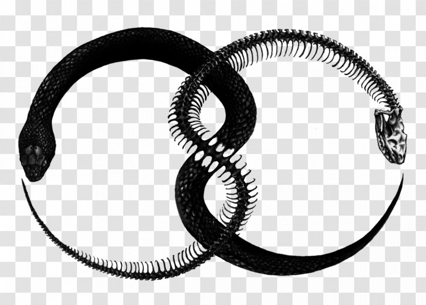 Ouroboros Snake Tattoo Symbol Alchemy - Chrysopoeia Transparent PNG