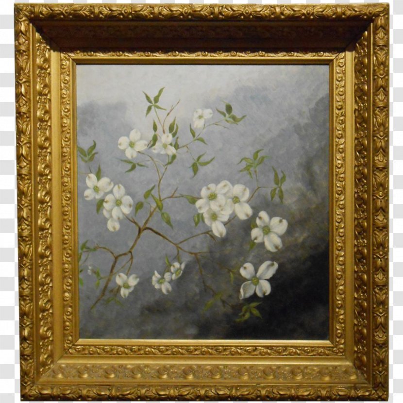 Oil Painting Picture Frames Still Life - Photography - Decorative Paintings Transparent PNG