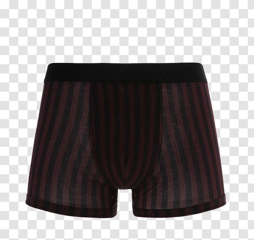 White Point Black Purple - Trunks - Dolce & Gabbana Belt Underwear Side Front Line Transparent PNG