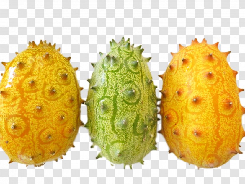 Horned Melon Cucumber Muskmelon Auglis - Eating - Three Transparent PNG