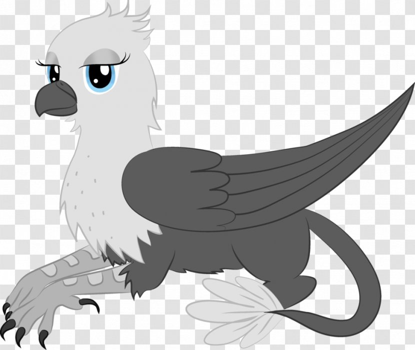 Griffin Owl Rainbow Dash Drawing Transparent PNG