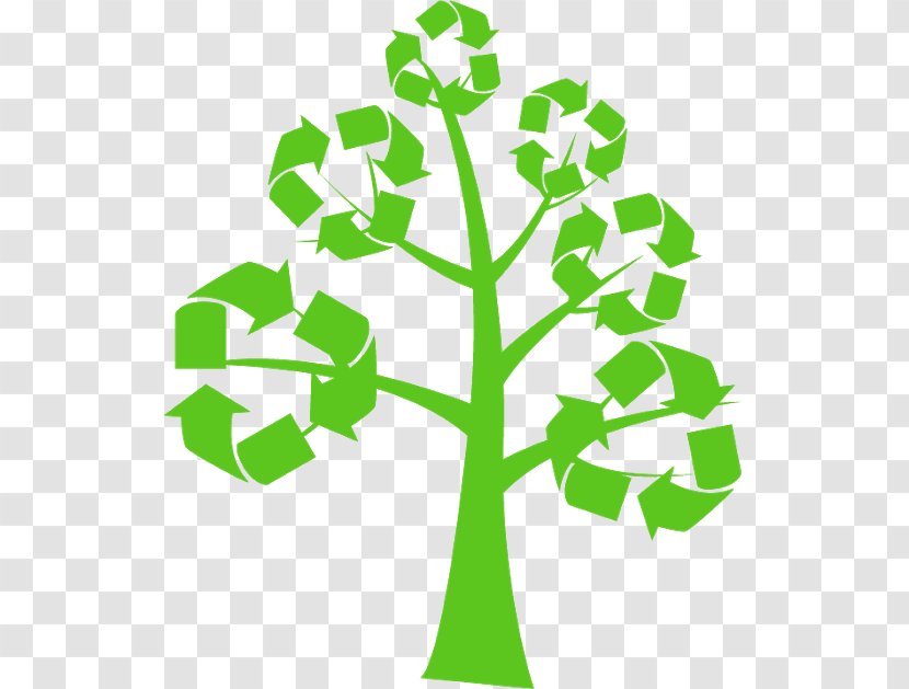 Environmentally Friendly Public Libraries Going Green Recycling Business Waste - Symbol Transparent PNG