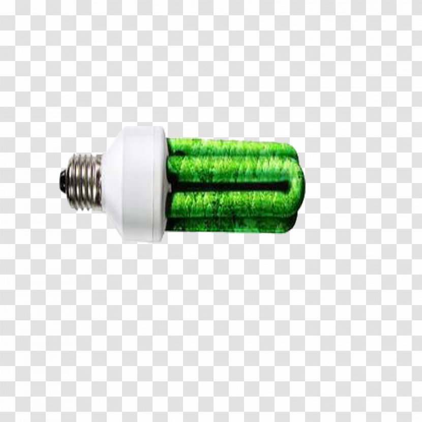 Light Euclidean Vector - Environmental Science - Green Bulb Transparent PNG