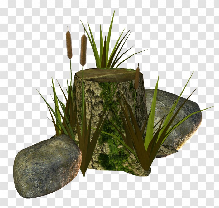 Flowerpot Grasses Family - Aquarium Transparent PNG