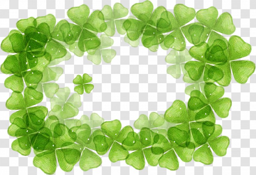 Four-leaf Clover - Photography - Border Transparent PNG