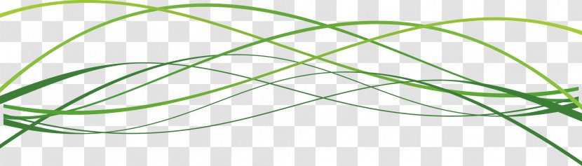 Green Curve Technology Euclidean Vector - Shading - Fashion Creative Transparent PNG