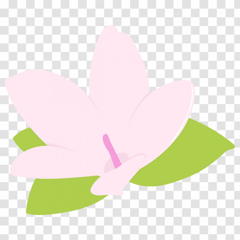 Pink Petal Flower Clip Art Plant - Lotus Family - Sacred Transparent PNG