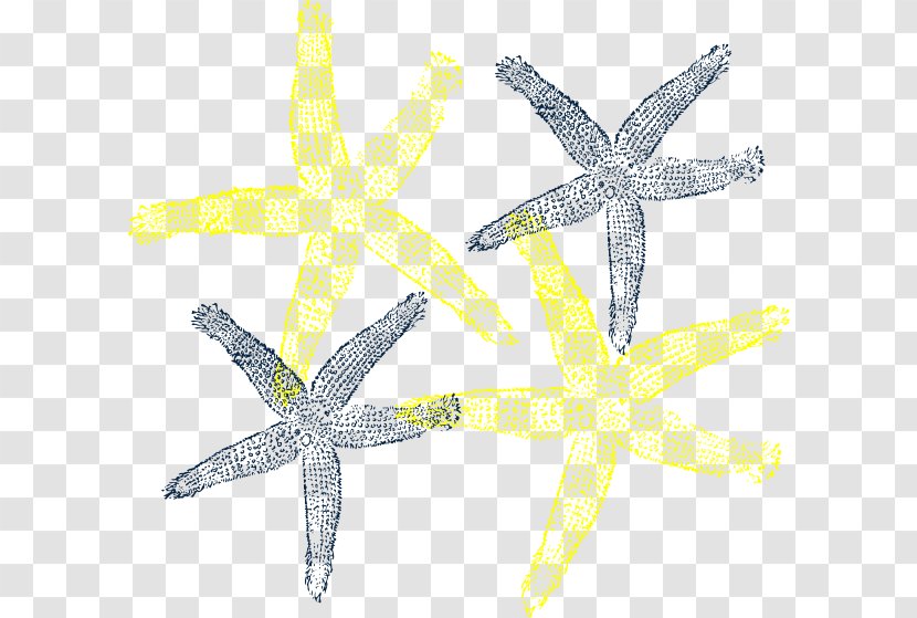 Starfish Wedding Clip Art - Invertebrate Transparent PNG