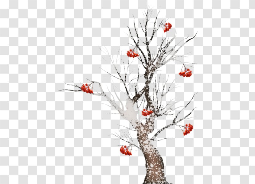 Twig Tree Pine Clip Art - Stump Transparent PNG