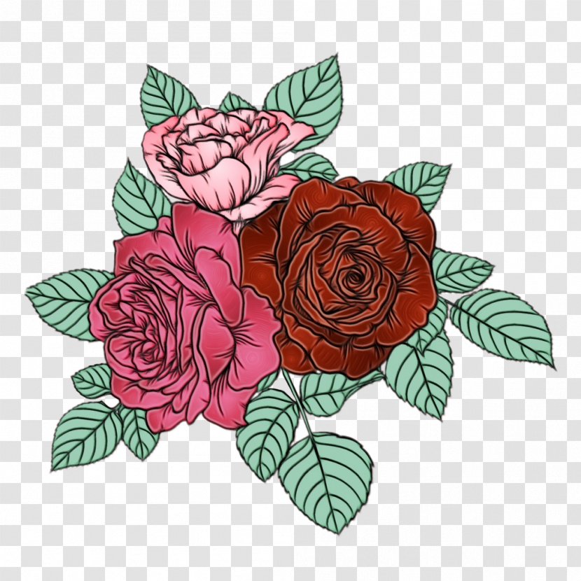 Garden Roses - Watercolor - Plant Cut Flowers Transparent PNG
