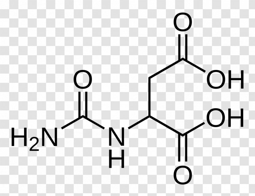 Acetylcysteine Toronto Research Chemicals Inc Pharmaceutical Drug Acid Chemical Substance - Aspartic - Symbol Transparent PNG