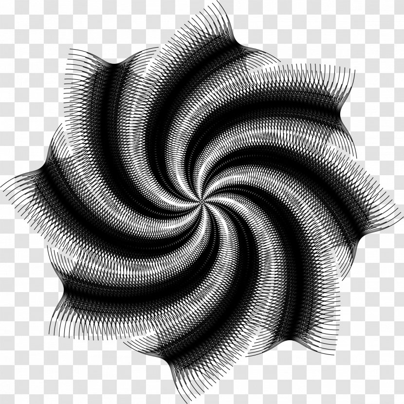 Abstract Art Line Clip - Spiral - Lines Transparent PNG