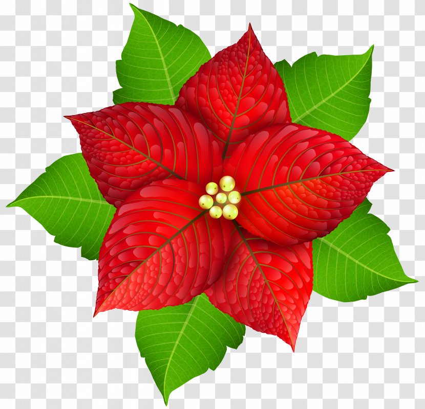 Poinsettia Christmas Clip Art - Leaf - Transparent Image Transparent PNG