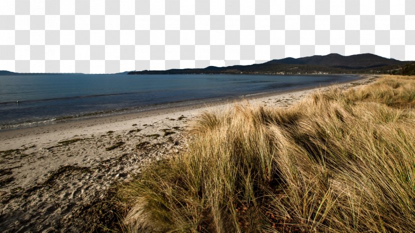 Sydney Bruny Island Download - Sand - Tasmania, Australia Nine Transparent PNG