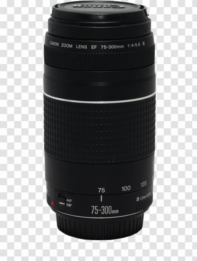 Canon EF Lens Mount 75–300mm EF-S 24-70mm Camera - Ef Telephoto Zoom 75300mm F456 Iii Usm - 75 300mm F 4 56 Transparent PNG