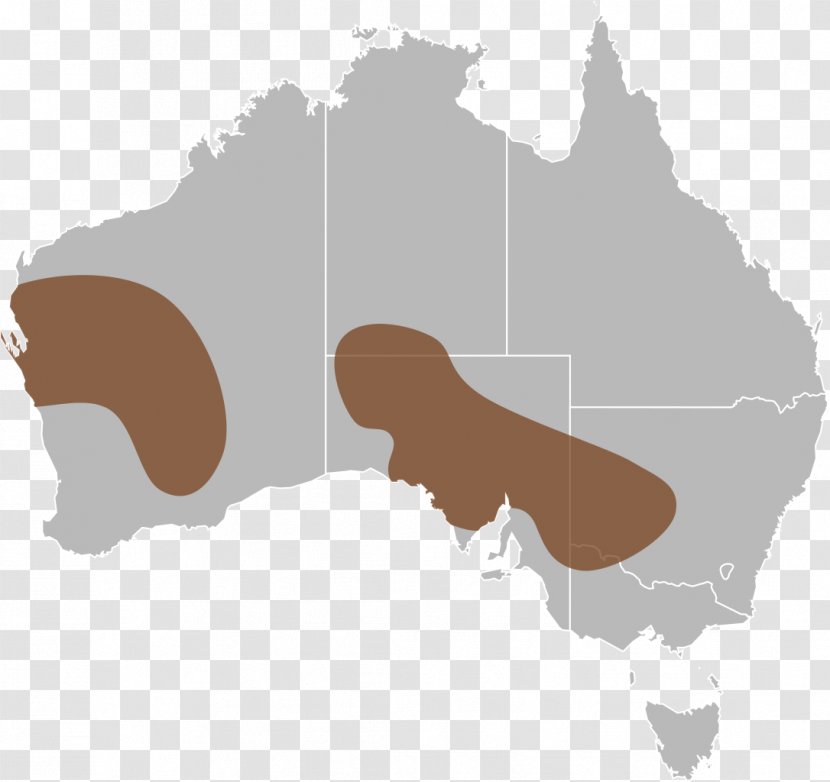 Australia Vector Map - DISTRIBUTION Transparent PNG