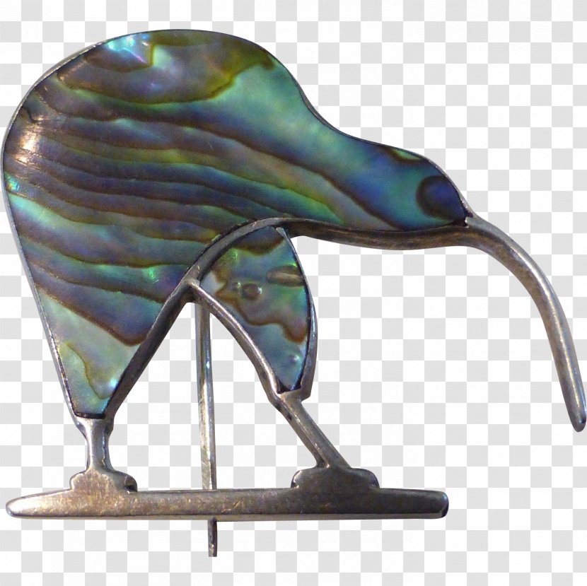 Glass Organism - Kiwi Bird Transparent PNG